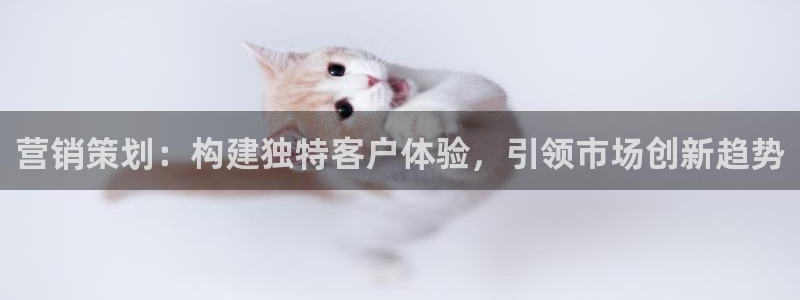 必赢.apk