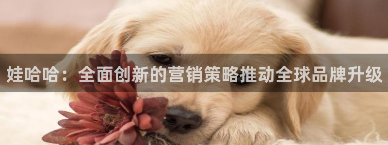 必赢平台官方网站登录