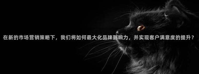 必赢下载安卓版