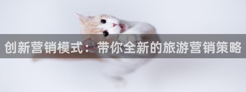 必赢网怎么打不开了呀