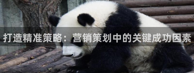 必赢国际437pay,comapp