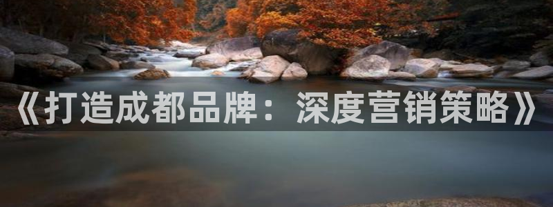 必赢网站是哪一个公司的