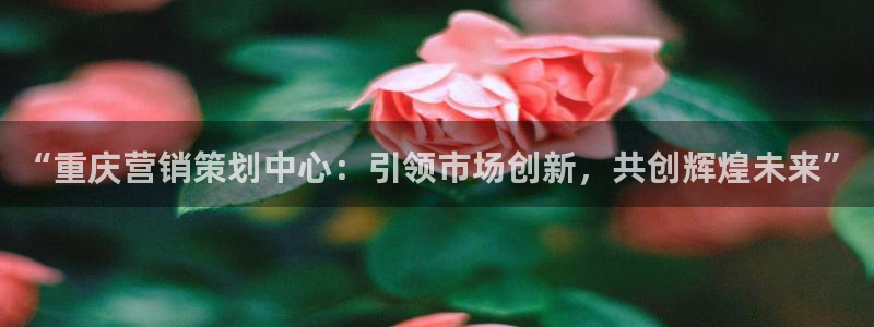 必赢客官方：“重庆营销策划中心